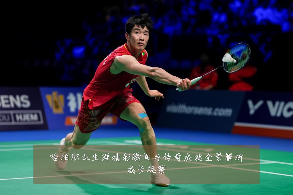 哈珀职业生涯精彩瞬间与传奇成就全景解析成长观察