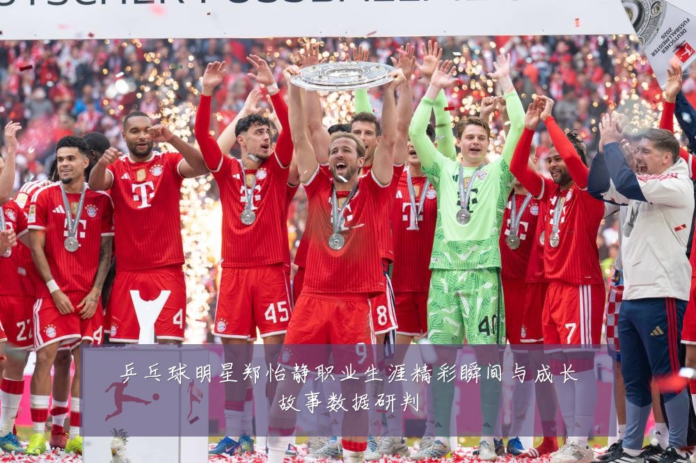乒乓球明星郑怡静职业生涯精彩瞬间与成长故事数据研判